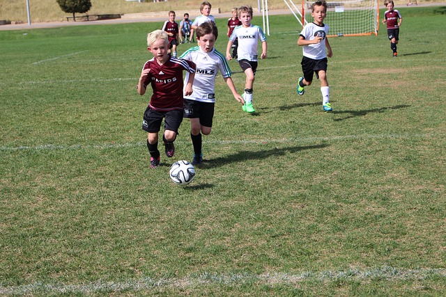 现出较强的 现出较强的