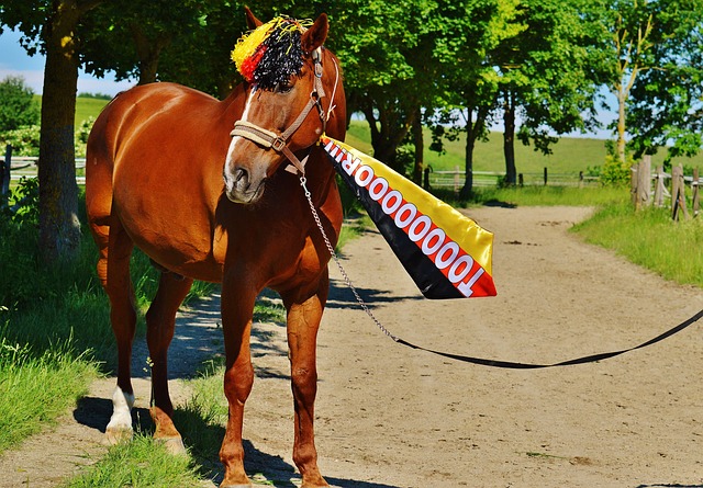 的米蘭德比 的米蘭德比