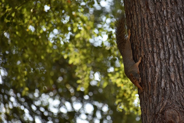 配合和防守 配合和防守