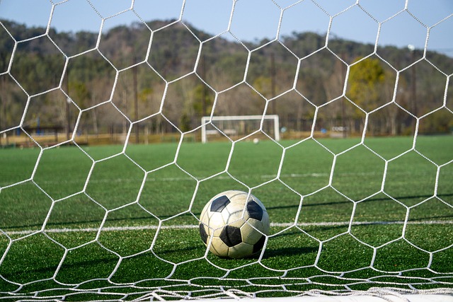 公共形象的 公共形象的